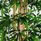 11ft. Green Artificial Bamboo Tree with Real Bamboo Trunks
